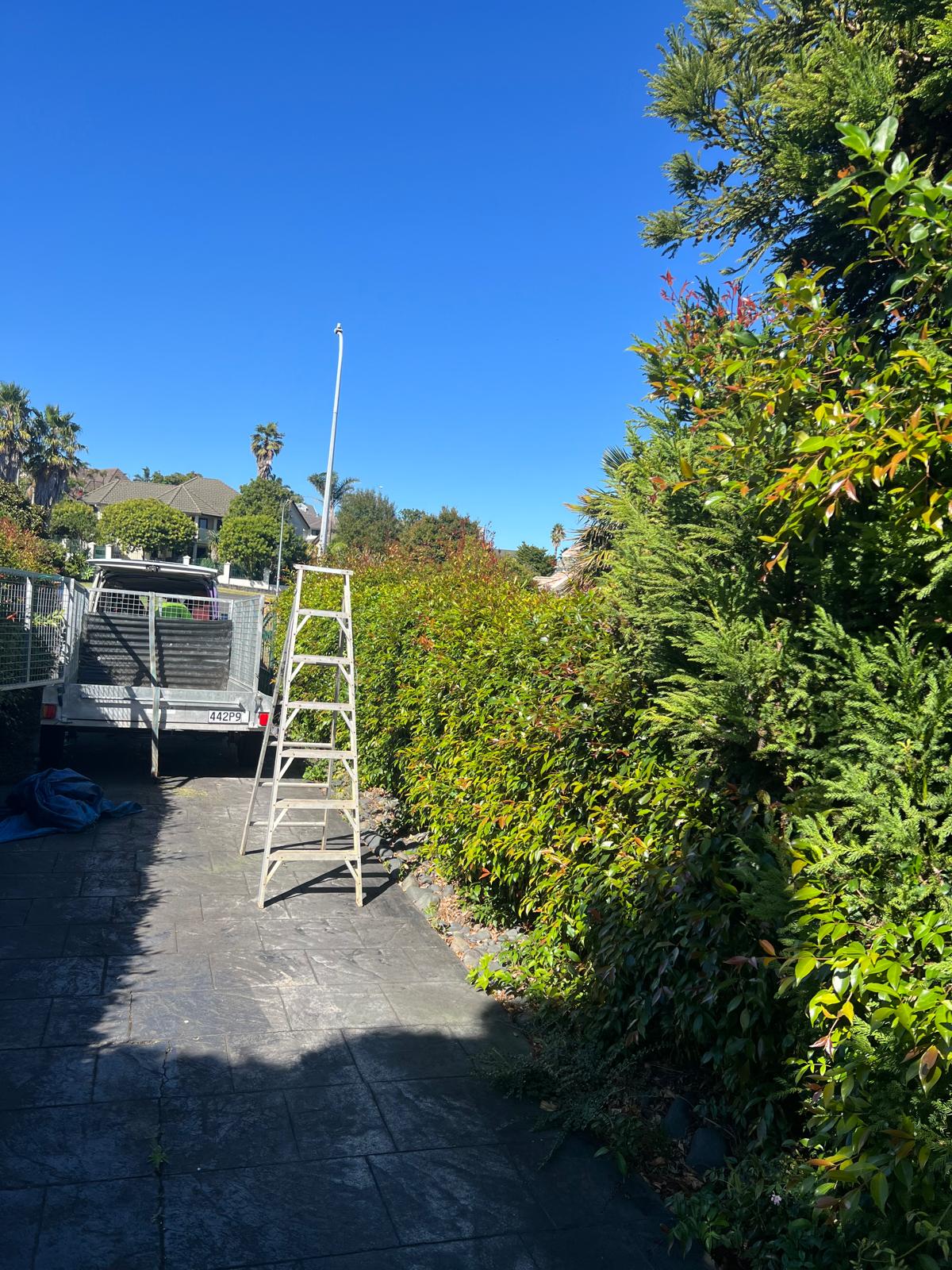 Hedges after shaping
